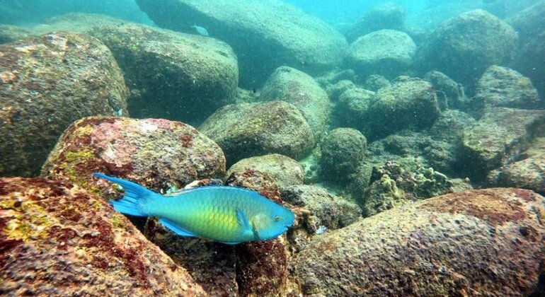 Buceo en Hikkaduwa