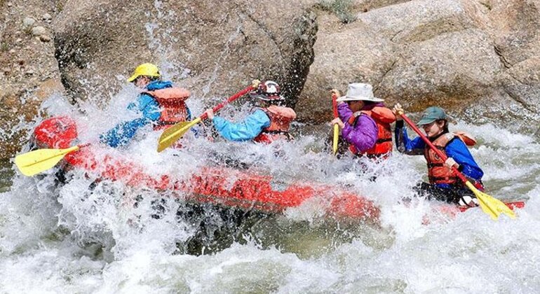 Live the Experience in Kitulgala