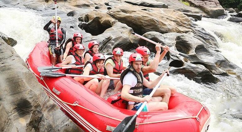 Live the Experience in Kitulgala
