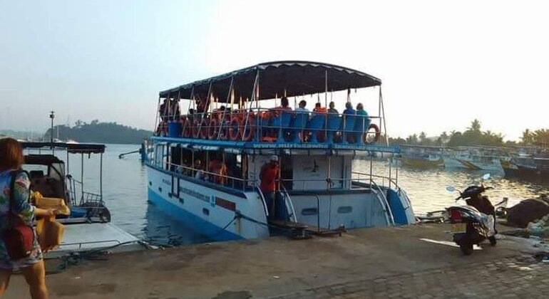 Whale Watching in Mirissa