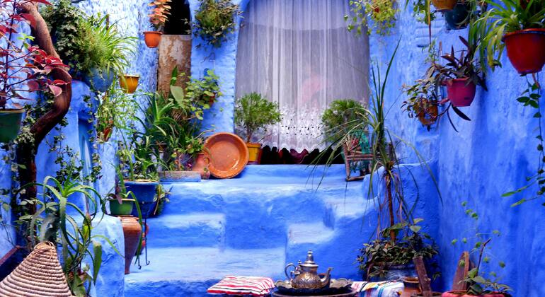 Excursion privée d'une journée à Chefchaouen depuis Fès