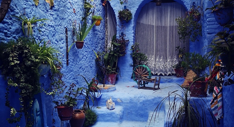 Privater Tagesausflug nach Chefchaouen von Fes aus