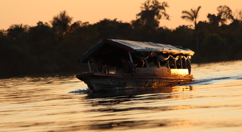 Amazonas-Expedition: Eine aufregende Ganztagesreise in den Dschungel