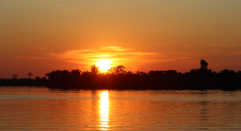 Amazonas-Expedition: Eine aufregende Ganztagesreise in den Dschungel