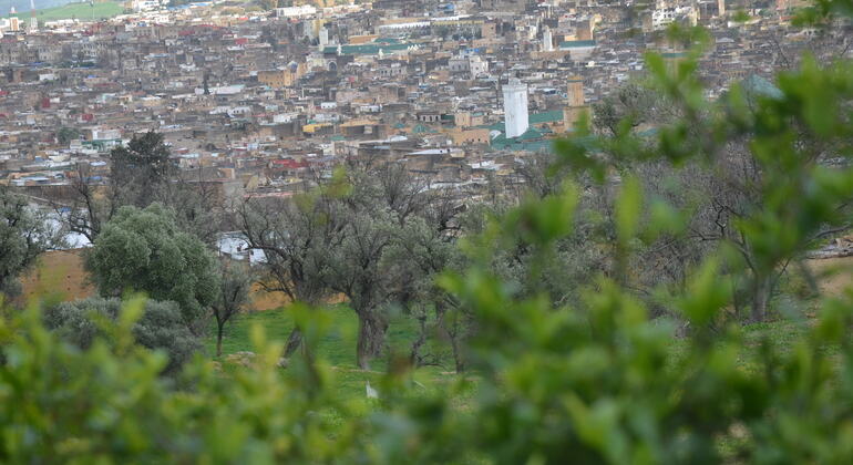 Verborgene Schätze der alten Medina von Fes Tour