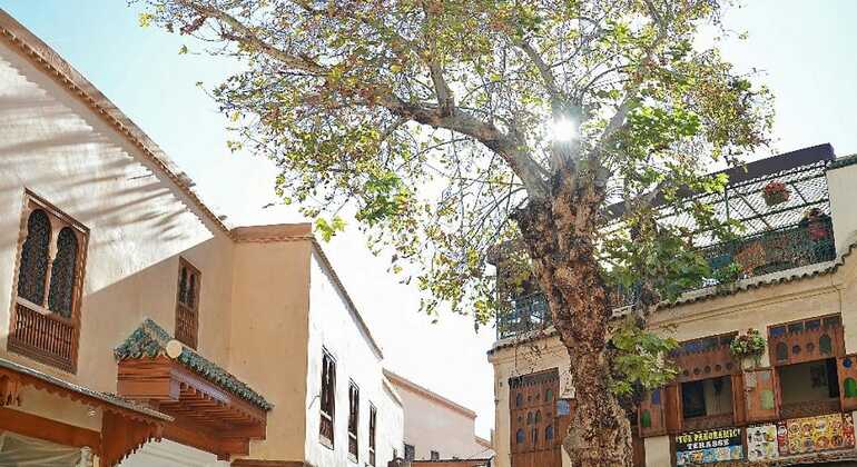 Verborgene Schätze der alten Medina von Fes Tour