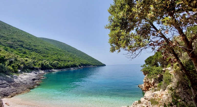 Speedboat Tour to National Marine Park Sazan-Karaburun