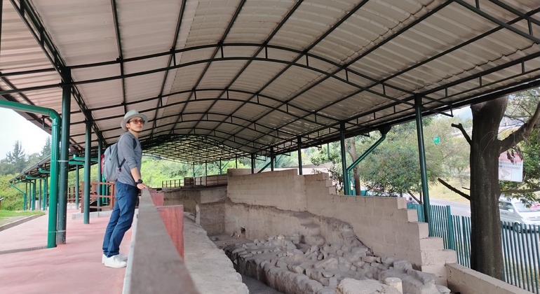 Archeologia di Quito: tour “Natura e reperti storici”