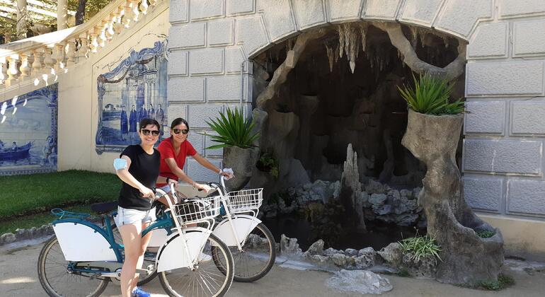Tour en Bicicleta por Aveiro