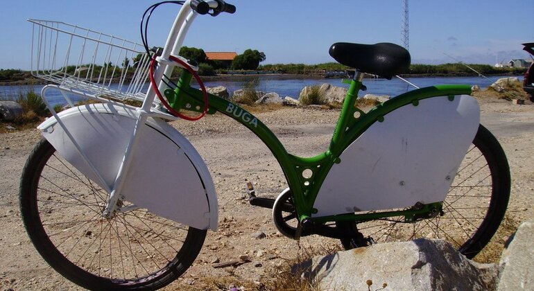 Tour en Bicicleta por Aveiro