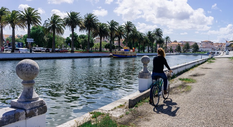 Tour en Bicicleta por Aveiro