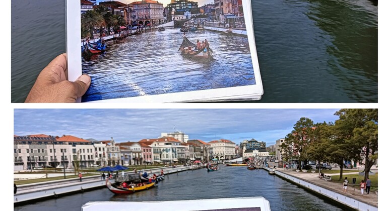 Tour en Bicicleta por Aveiro