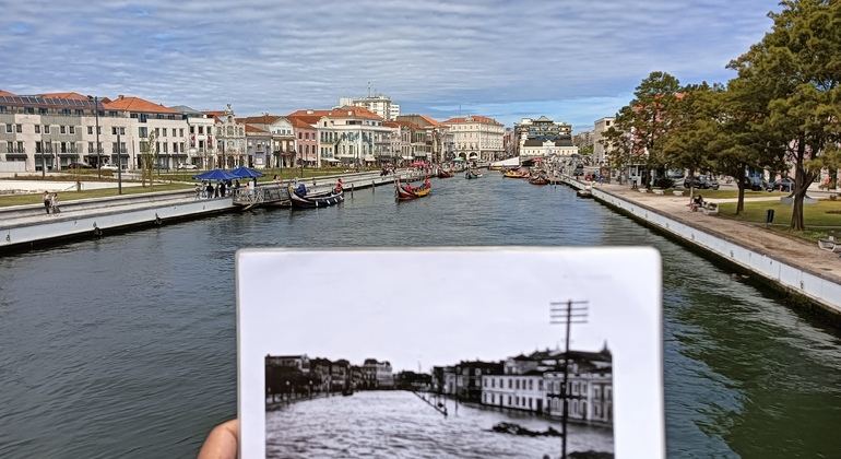 Tour en Bicicleta por Aveiro