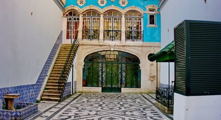 Tour en Bicicleta por Aveiro