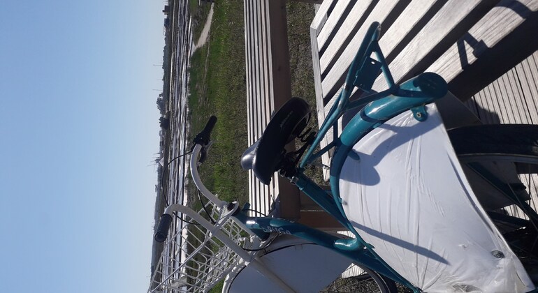 Tour en Bicicleta por Aveiro