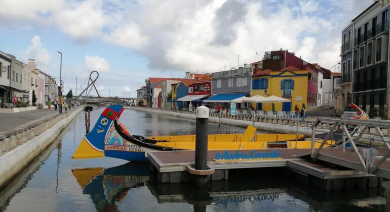 Tour en Bicicleta por Aveiro