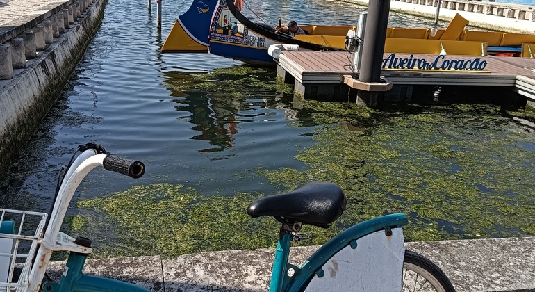 Tour en Bicicleta por Aveiro