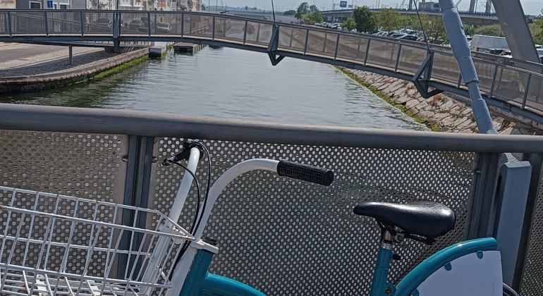Tour en Bicicleta por Aveiro