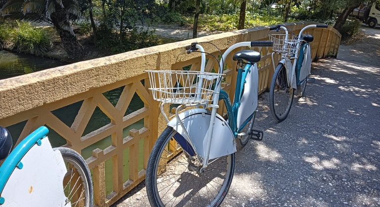 Tour en Bicicleta por Aveiro