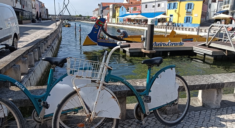 Tour en Bicicleta por Aveiro