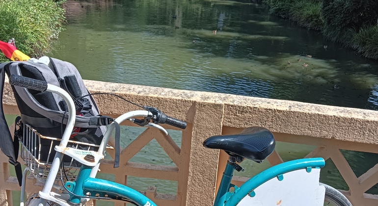 Tour en Bicicleta por Aveiro