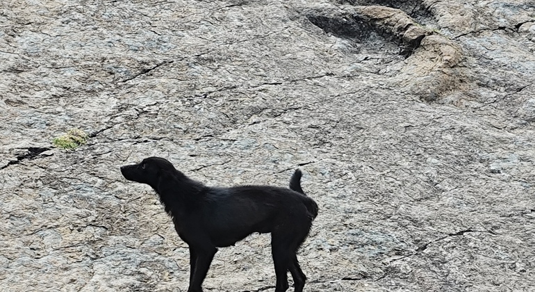 Wunderschönes Trekking zum Inka-Pfad, Maragua-Krater, Dinosaurier-Fußabdrücke
