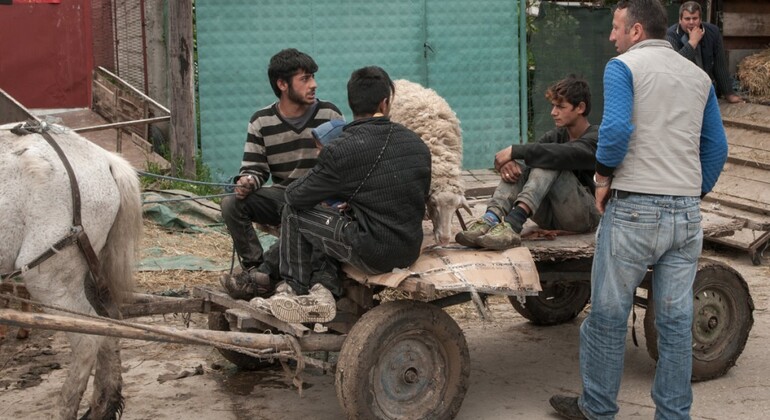 Shutka: The Roma Capital of the World