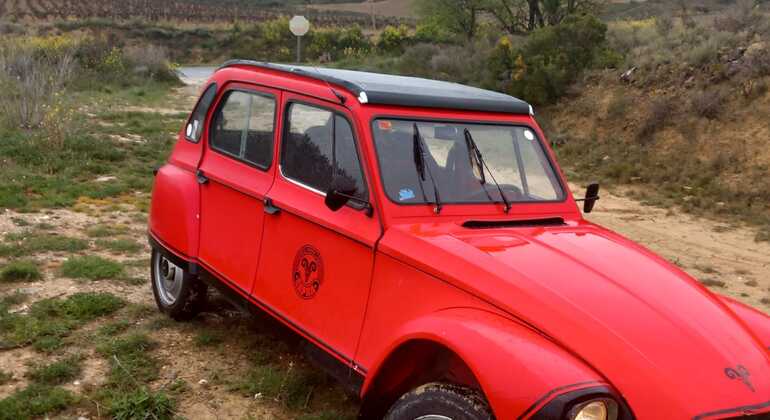 Tourist tour through the vineyards of La Rioja
