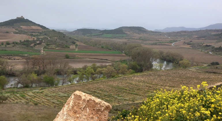 Touristische Tour durch die Weinberge von La Rioja