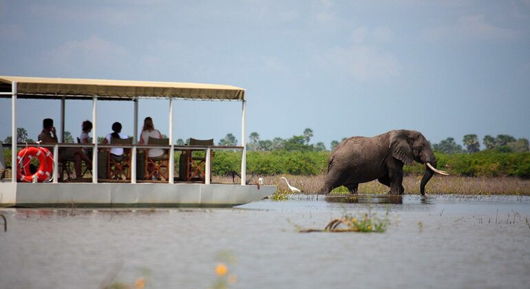Drei Tage Safari von Sansibar nach Selous, Nyerere National Park