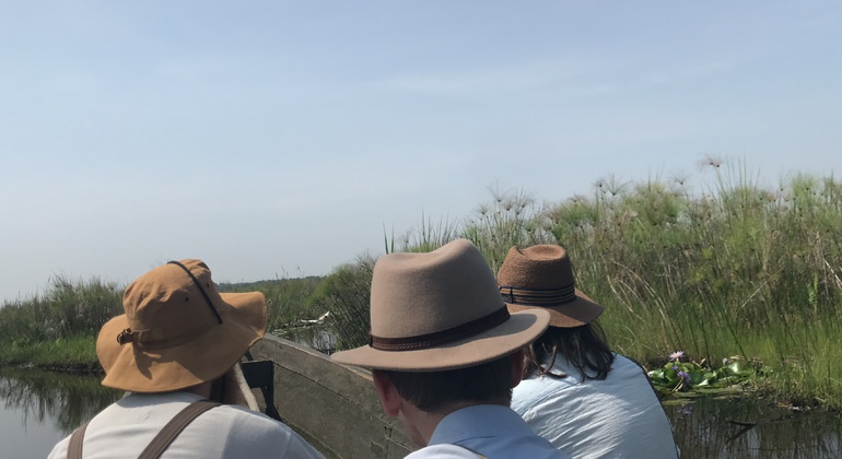 Vogelbeobachtungstour nach Entebbe, zum Äquator und zum Schuhschnabel