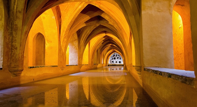 Walking Tour of the Alcazar of Seville