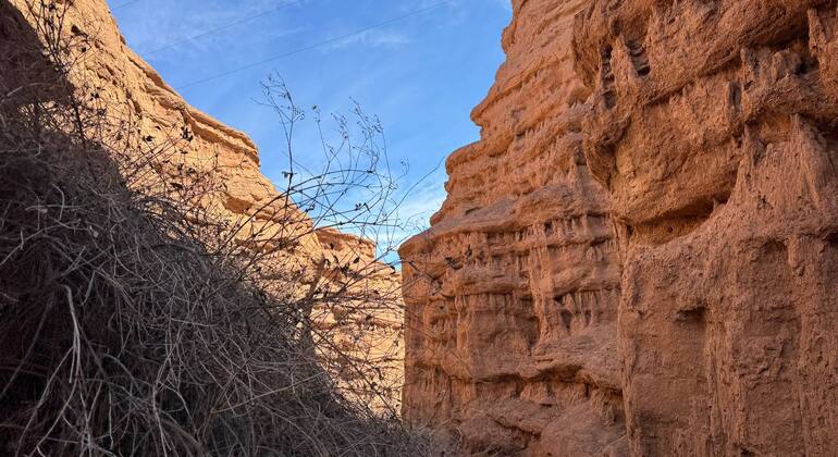 The Ancient Burana Tower & Kok-Moinok Canyons