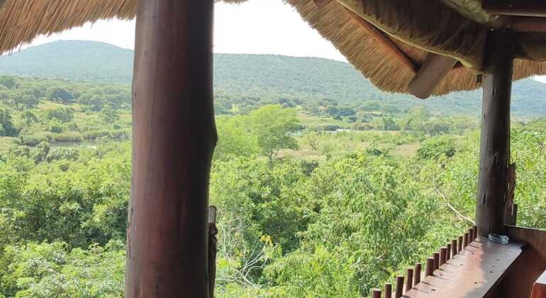Krüger-Nationalpark Ganztagesausflug von Maputo