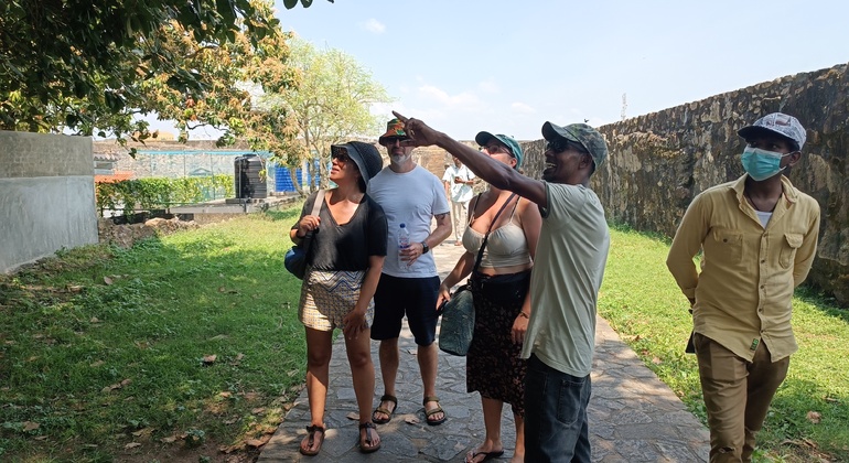 Recorrido a pie por el Fuerte de Galle con un residente
