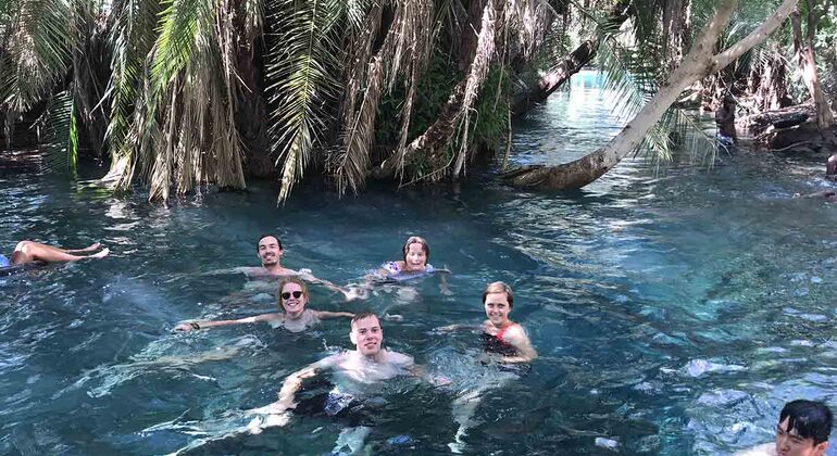 Arusha to Kikuletwa: Hot Springs Escape