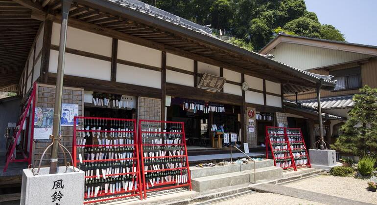 Nagoya: All-inclusive Car Tour to Korankei Valley