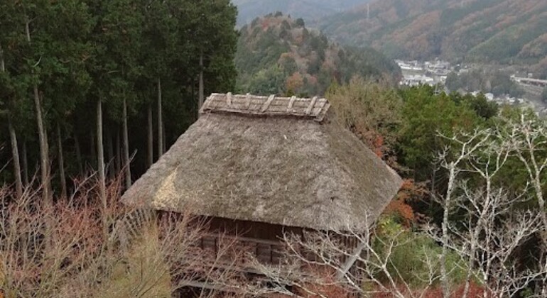 Nagoya: All-inclusive Car Tour to Korankei Valley