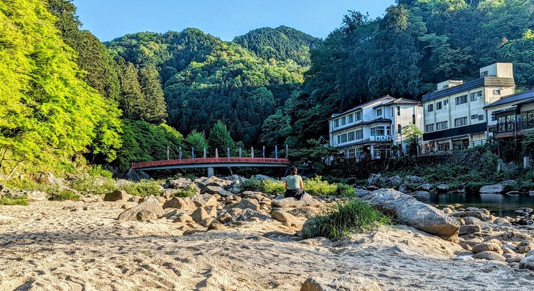 Nagoya: All-inclusive Car Tour to Korankei Valley