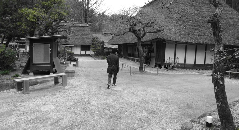 Nagoya: All-inclusive Car Tour to Korankei Valley