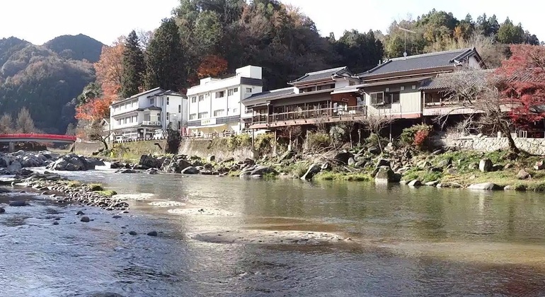 Nagoya: All-inclusive Car Tour to Korankei Valley