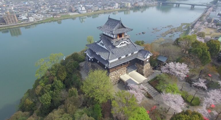 A Fun Car Tour to Inuyama Castle & a Phallus