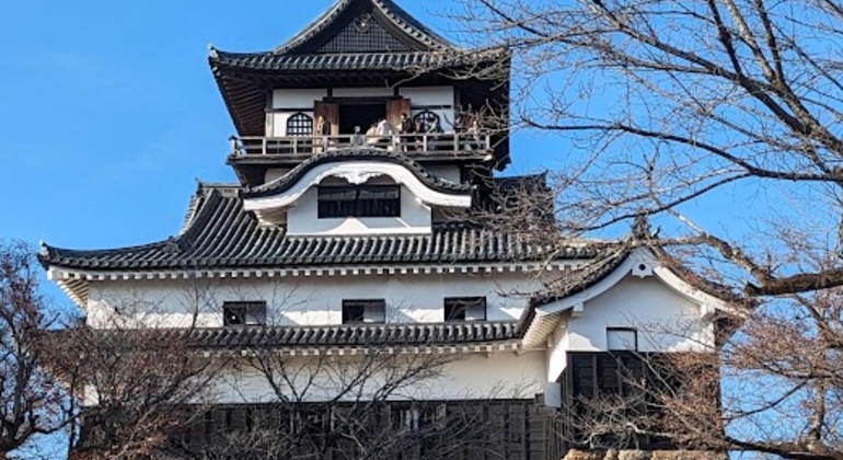 A Fun Car Tour to Inuyama Castle & a Phallus