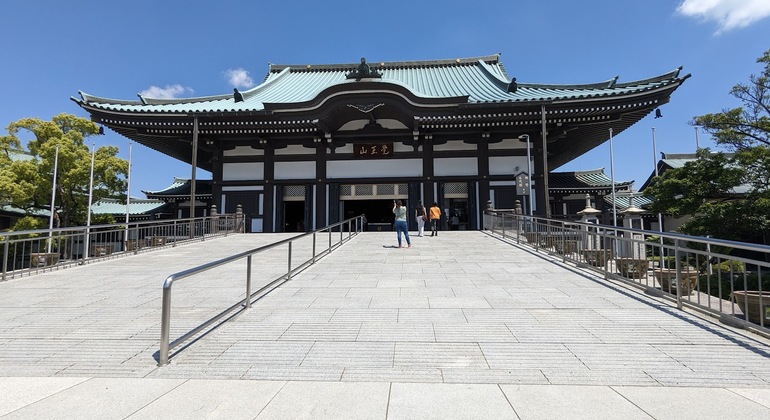 Divertida visita guiada en coche por Nagoya