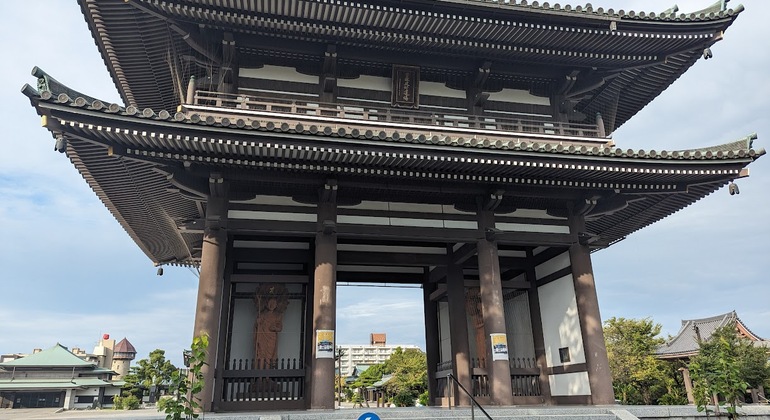 Divertida visita guiada en coche por Nagoya