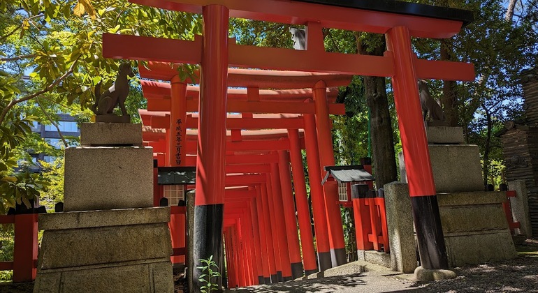 Divertida visita guiada en coche por Nagoya