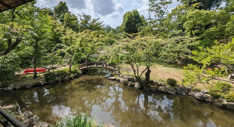 Divertida visita guiada en coche por Nagoya