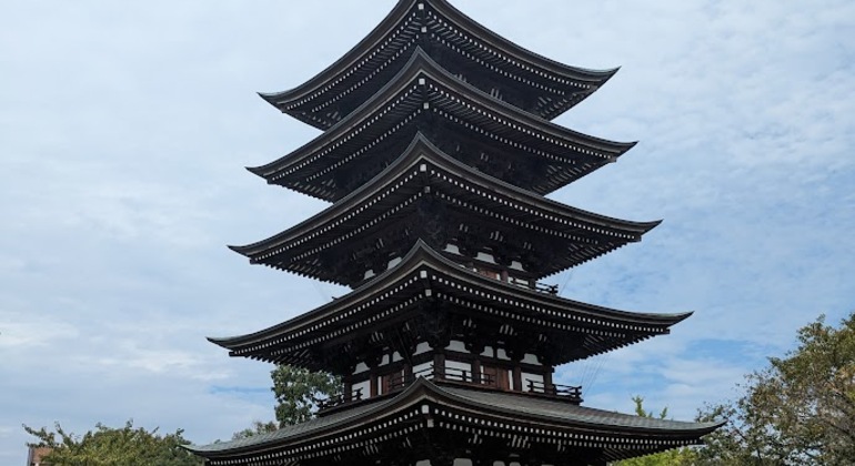 Divertida visita guiada en coche por Nagoya