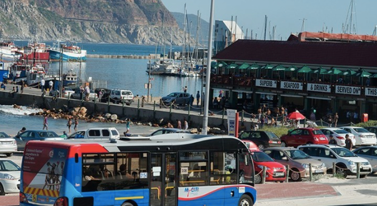 L'expérience MyCiTi Bus