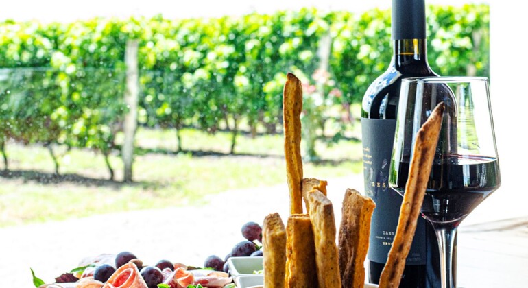 Erleben Sie die Passion für Wein